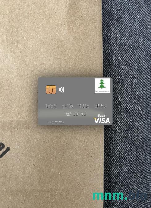 South Sudan Eden Commercial bank visa obciążyć card wygląd fotograficzny skan PSD + zdjęcie